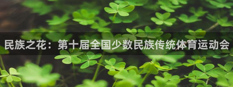 杏彩网站：民族之花：第十届全国少数民族传统体育运动会