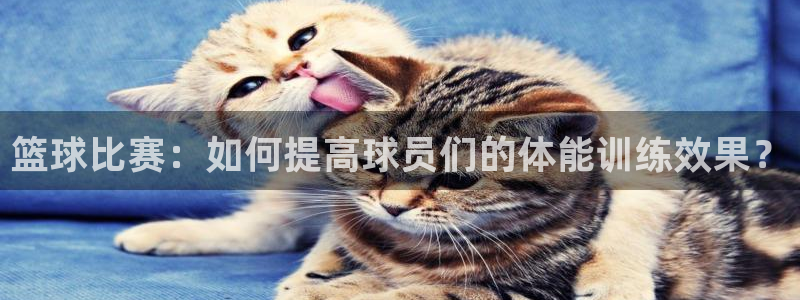 ns150xc：篮球比赛：如何提高球员们的体能训练效果？