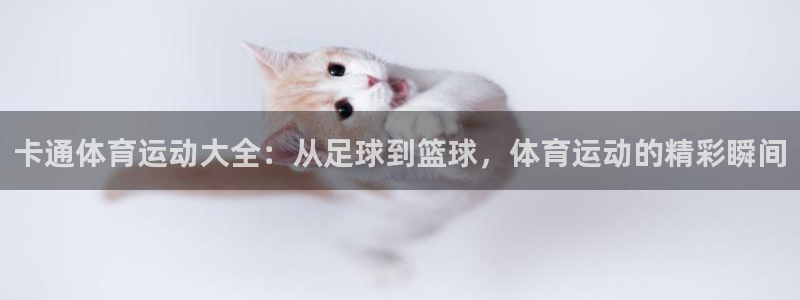 xc .：卡通体育运动大全：从足球到篮球，体育运动的精彩瞬间