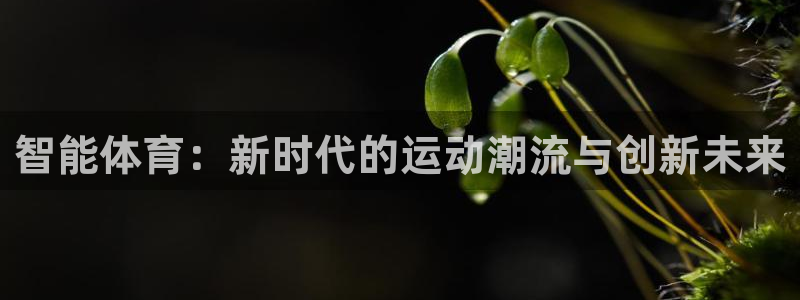 沃尔沃xc 90：智能体育：新时代的运动潮流与创新未来