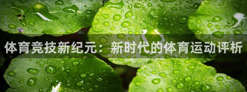全新 xc60：体育竞技新纪元：新时代的体育运动评析