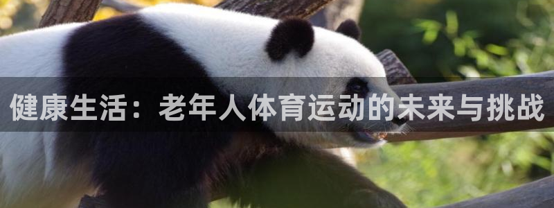 xc9：健康生活：老年人体育运动的未来与挑战