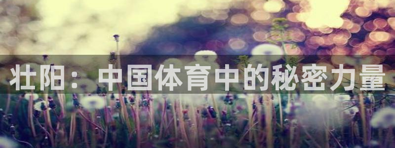 xc50：壮阳：中国体育中的秘密力量