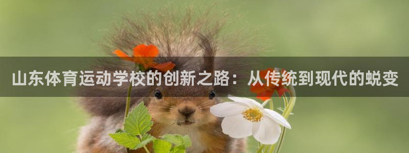 杏彩xc3代理：山东体育运动学校的创新之路：从传统到现代的蜕变